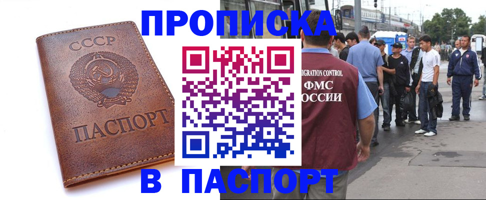 временная регистрация поиск в Тереке